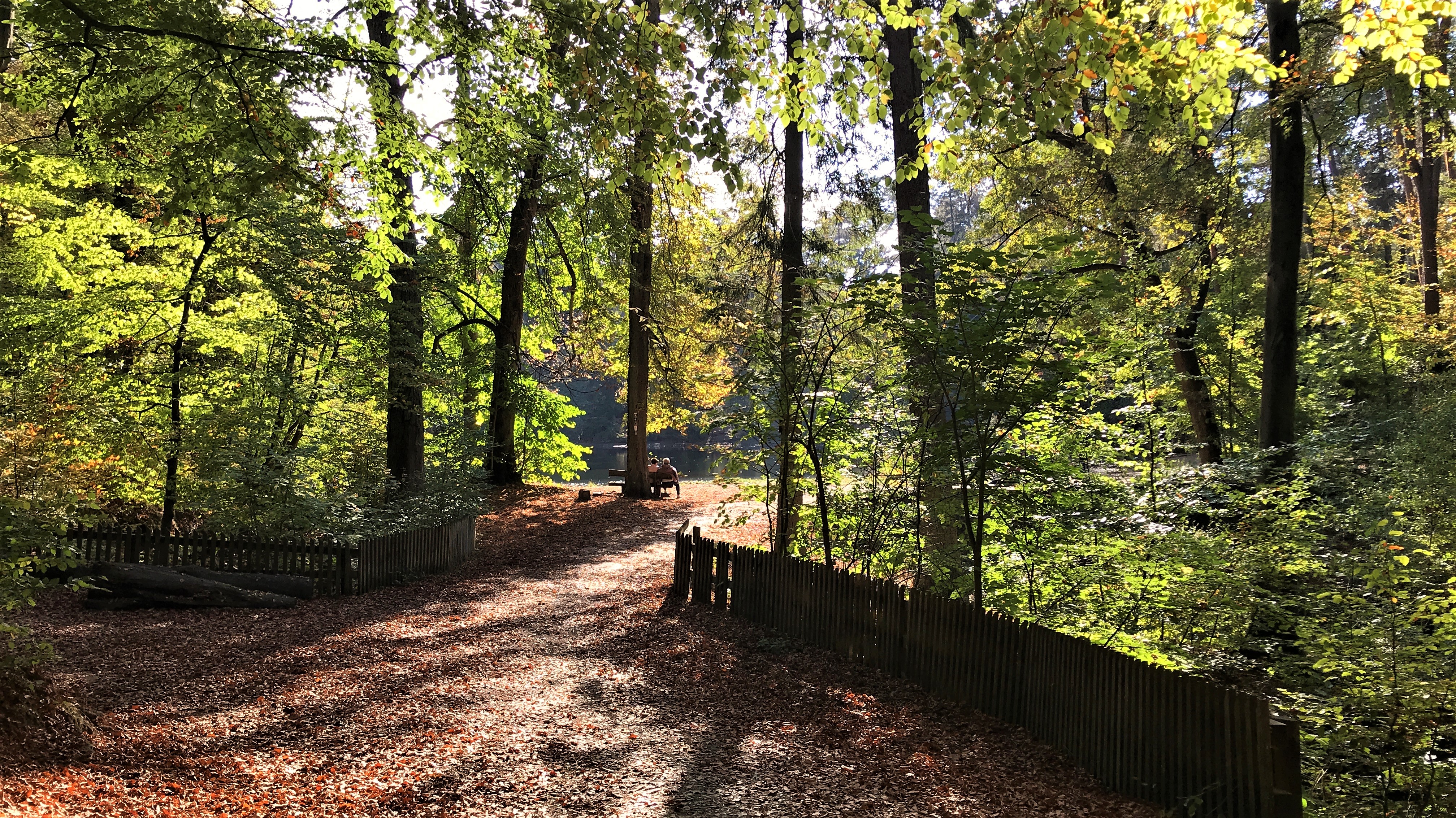 HEIMAT 3